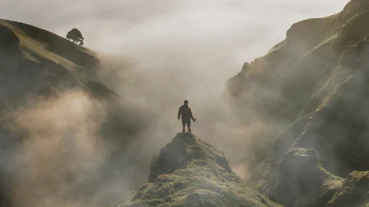 Between the Rocks and Dreams