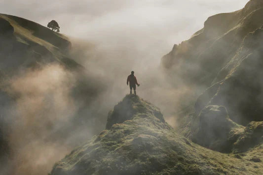 Between the Rocks and Dreams